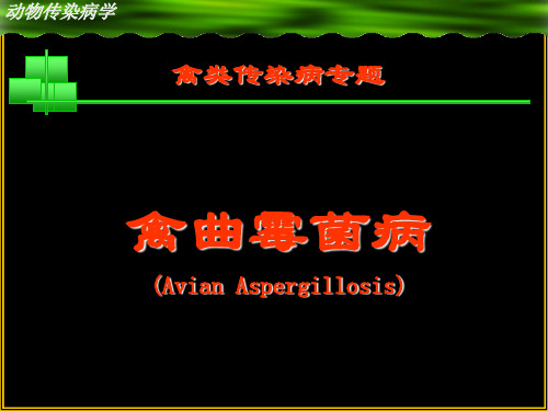 动物传染病-鸡病课件  禽曲霉菌病