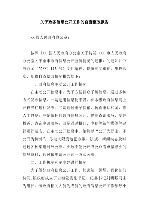 关于政务信息公开工作的自查整改报告