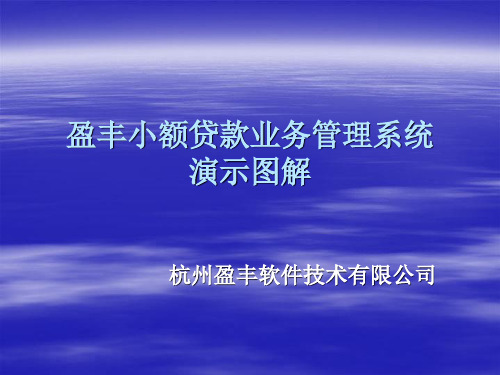 盈丰小额贷款业务系统演示报告1