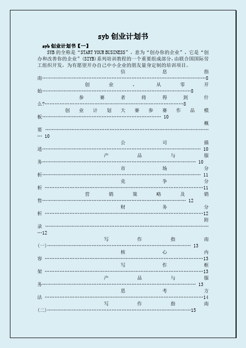 syb创业计划书