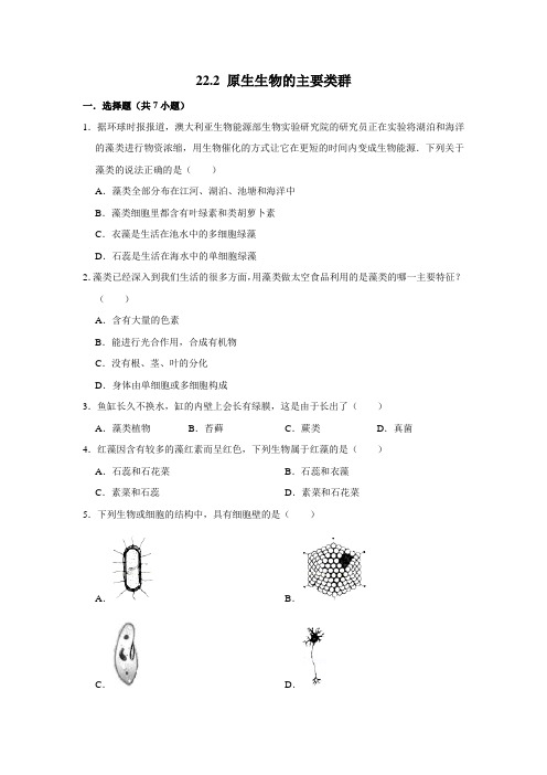 北师大版生物八年级下册 原生生物的主要类群