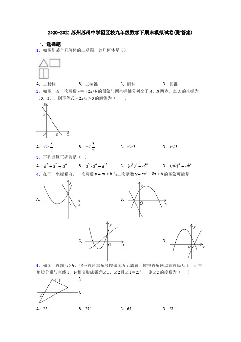 2020-2021苏州苏州中学园区校九年级数学下期末模拟试卷(附答案)