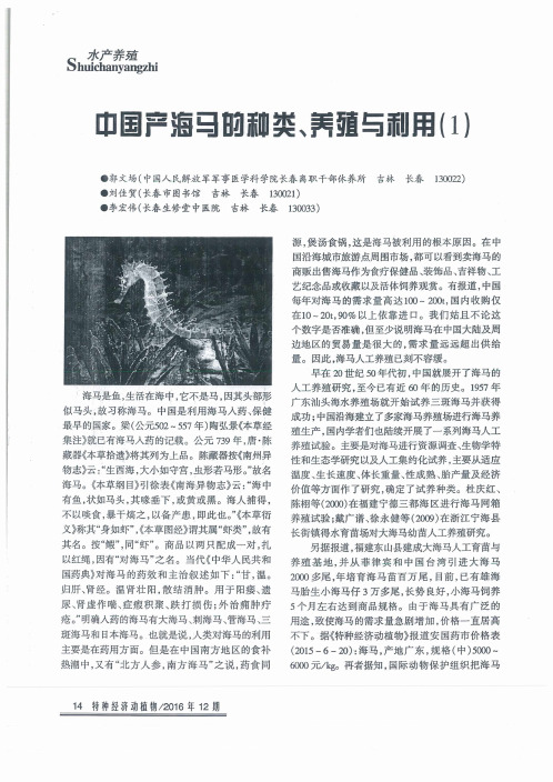 中国产海马的种类、养殖与利用(1)