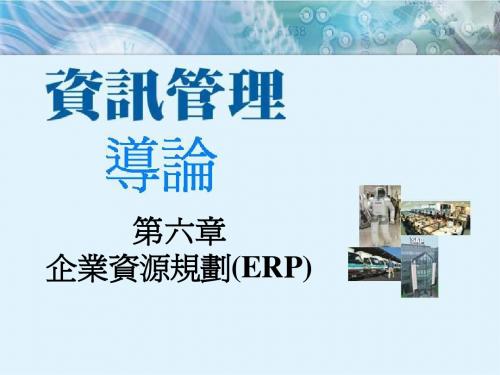 企业资源规划(ERP)