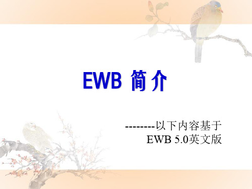 EWB简介