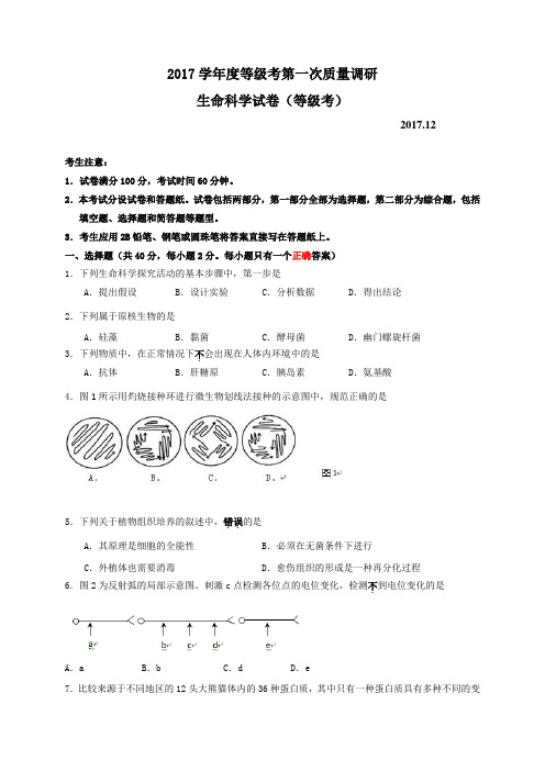 上海市长宁区、嘉定区2018届高三第一次质量调研(一模)生物试题(WORD版)