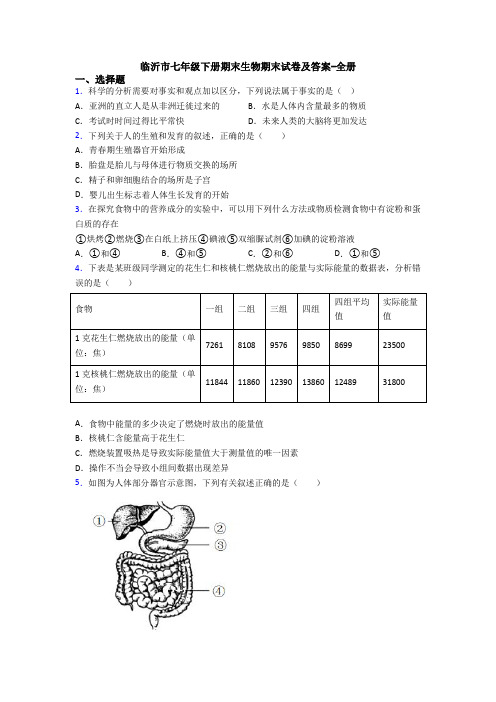 临沂市七年级下册期末生物期末试卷及答案-全册