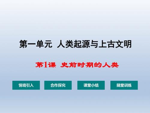 史前时期的人类PPT课件6 华东师大版