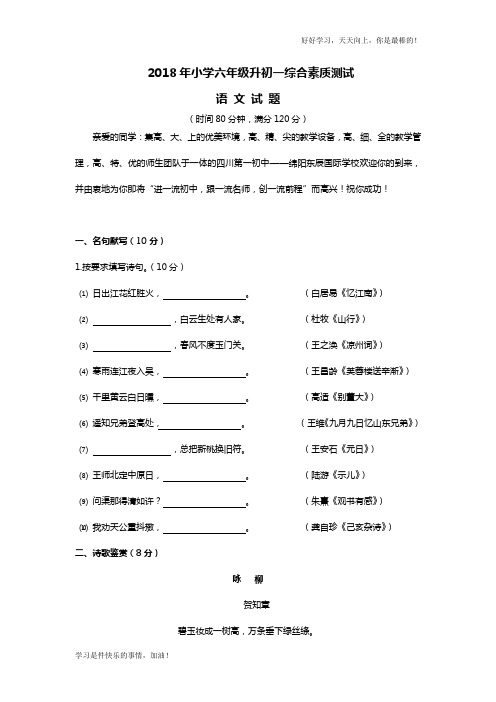 2018年小升初六升七语文试题(含答案) 语文s版