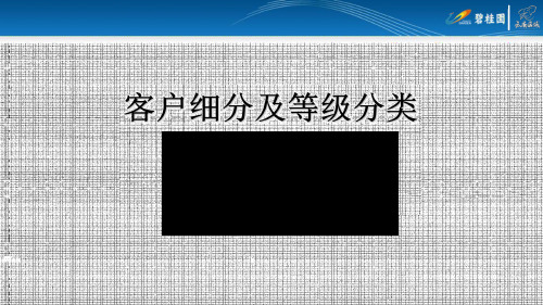 【精品报告】房地产培训-客户细分及等级分类一分钟学会界定ABCD类客户