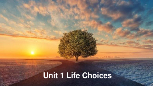 Unit 1 Life Choices Lesson 1 Lifestyles(教学课件)-高中英语