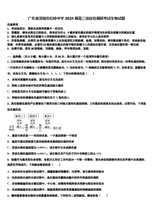 广东省深圳市红岭中学2024届高三适应性调研考试生物试题含解析