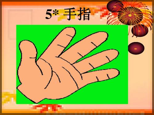 手指课件(PPT)