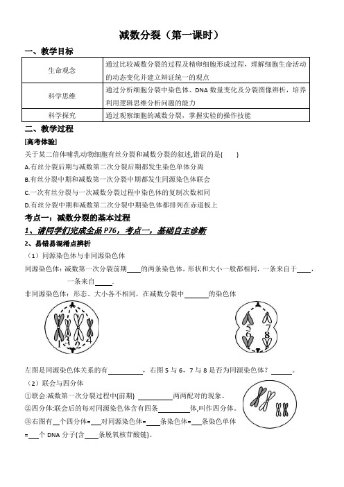 高三生物一轮复习减数分裂和受精作用学案