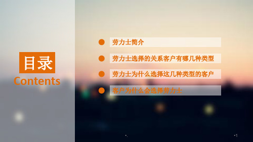 劳力士的客户选择PPT文档资料