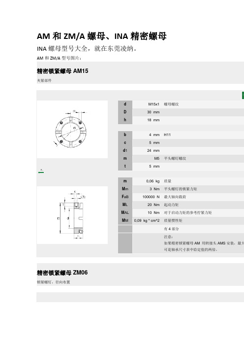 AM和ZMA螺母、INA精密螺母