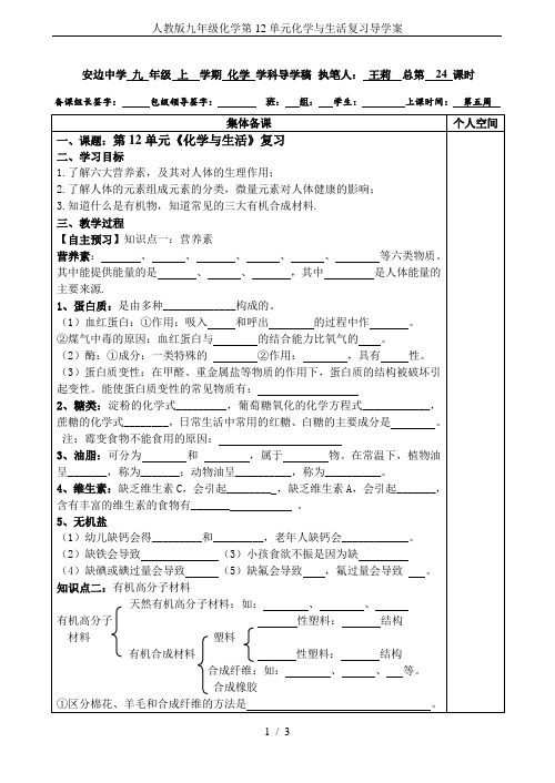 人教版九年级化学第12单元化学与生活复习导学案