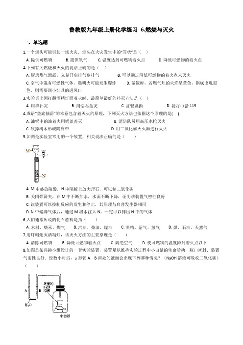 鲁教版九年级上册化学练习 6.燃烧与灭火(解析版)