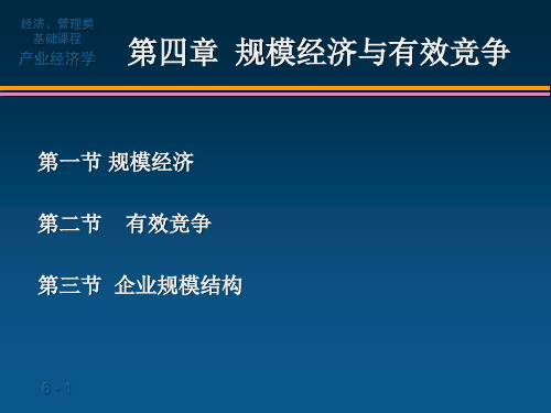 中南林业科技大学《产业经济学》第四章：规模经济与有效竞争.