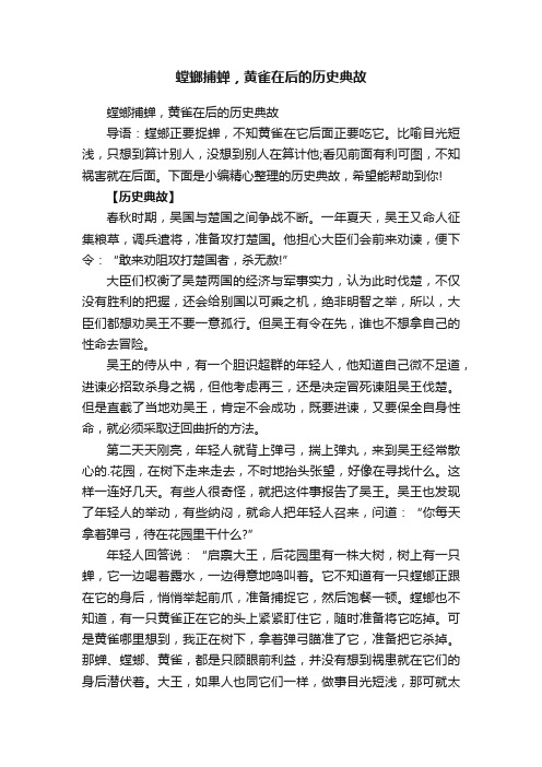 螳螂捕蝉，黄雀在后的历史典故