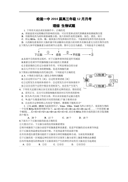 湖北省松滋一中2014届高三12月月考生物试题 Word版含