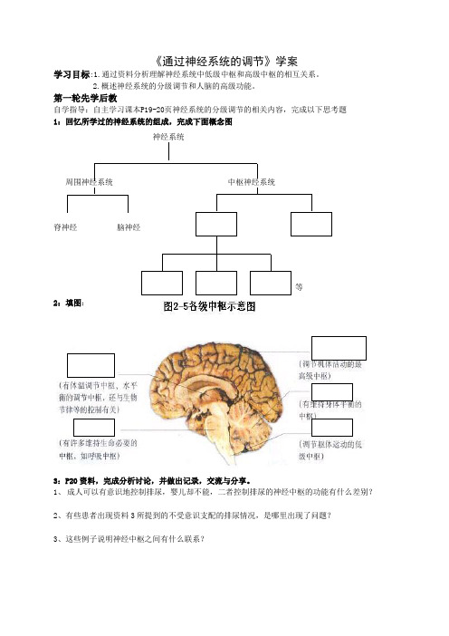 通过神经系统的调节--学案