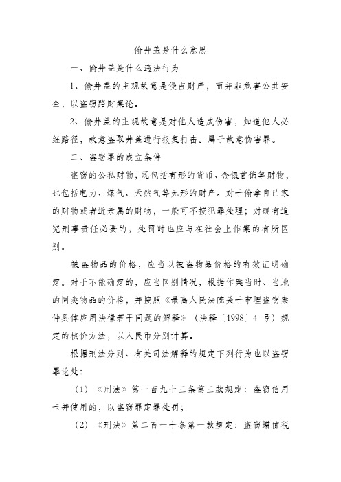 偷井盖是什么意思