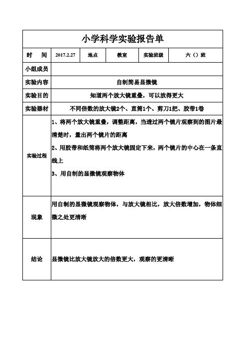 实验报告-1怎样放的更大