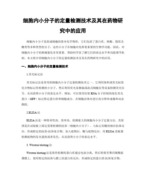 细胞内小分子的定量检测技术及其在药物研究中的应用