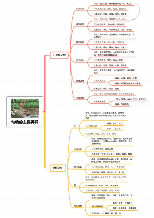 八年级上册生物人教版思维导图