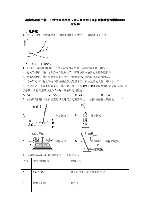 湖南省浏阳二中、长沙怡雅中学全国重点高中初升高自主招生化学模拟试题(含答案)