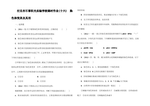 高三生物一轮复习 课时作业 染色体变异及其用