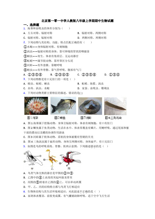 北京第一零一中学人教版八年级上学期期中生物试题