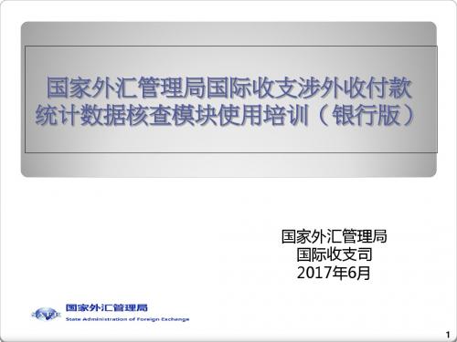 国际收支涉外收付款统计数据核查模块使用培训(PPT 53张)