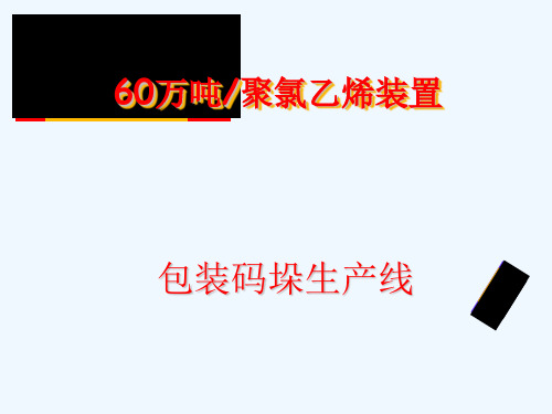 60万吨聚氯乙烯装置包装码垛生产线概述(PPT 43页)