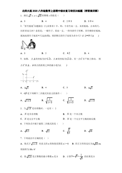 北师大版2020八年级数学上册期中综合复习培优训练题(附答案详解)