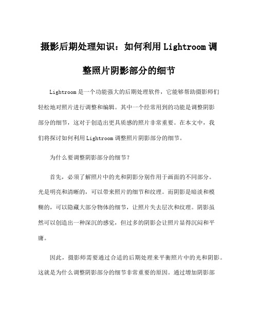 摄影后期处理知识：如何利用Lightroom调整照片阴影部分的细节