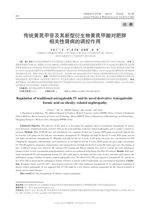 传统黄芪甲苷及其新型衍生物黄芪甲酸对肥胖相关性肾病的调控作用