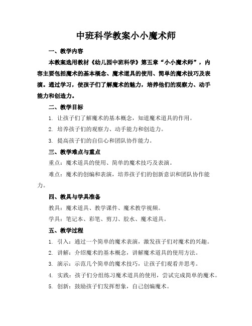 中班科学教案小小魔术师