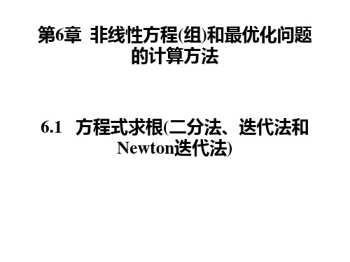 第6章  非线性方程(组)和最优化问题的