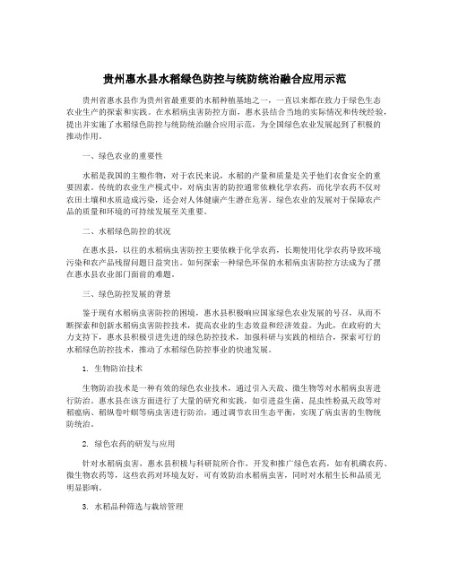 贵州惠水县水稻绿色防控与统防统治融合应用示范