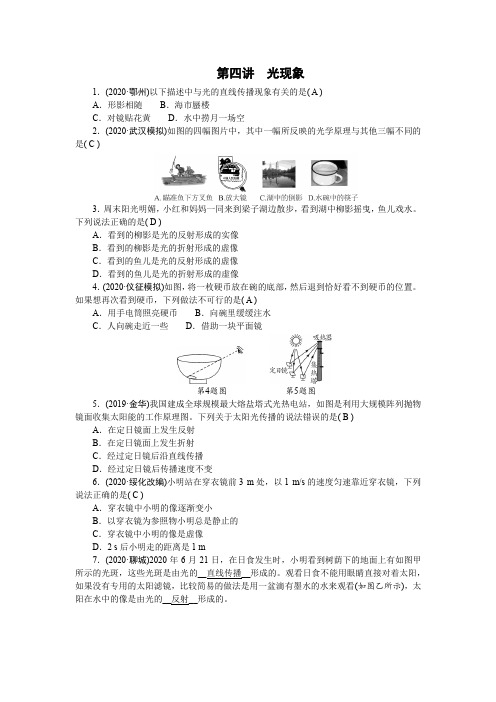 贵州省毕节2021年中考物理一轮复习考点练习 第四讲 光现象