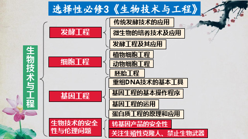 第4章生物技术的安全性与伦理问题(单元复习课件)-高二生物同步课堂(人教版2019选择性必修3)