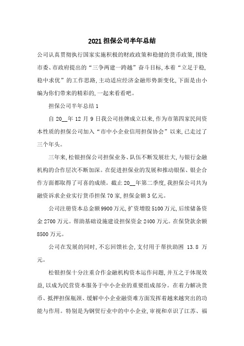 最新2021担保公司半年总结