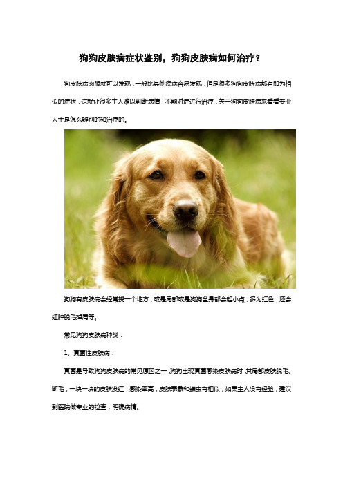 狗狗皮肤病症状鉴别,狗狗皮肤病如何治疗？