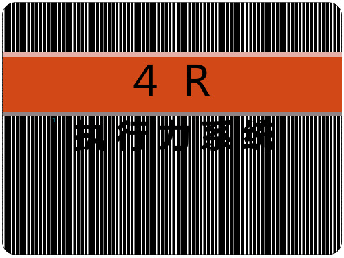 4R执行力系统