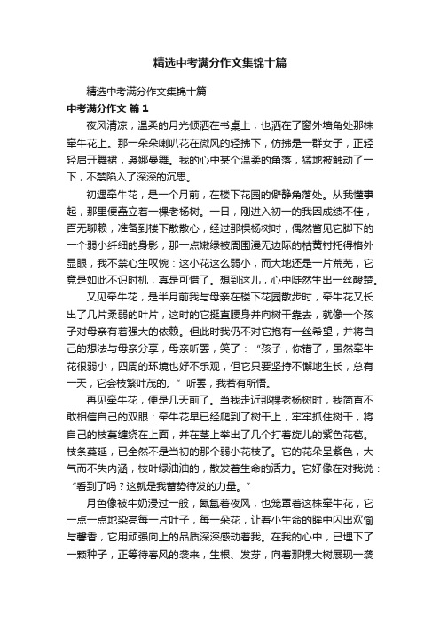 精选中考满分作文集锦十篇