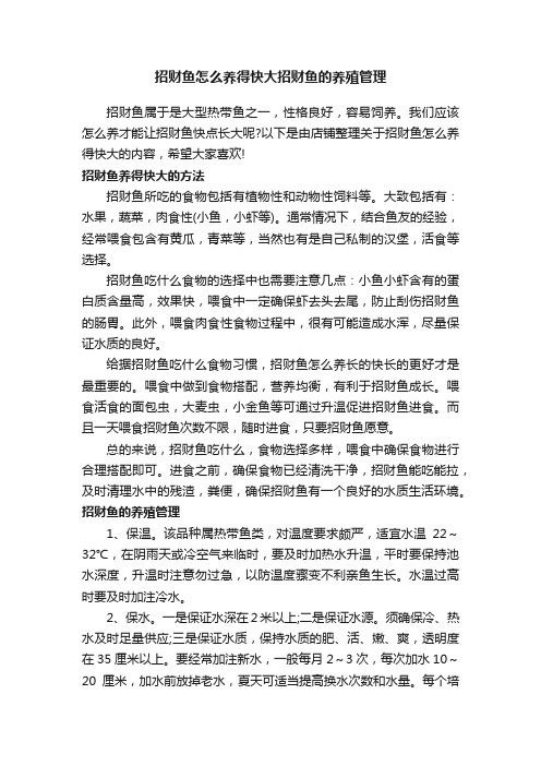 招财鱼怎么养得快大招财鱼的养殖管理