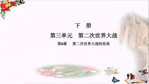 【初中历史】2017-2018学年九年级历史下册课件ppt(18份) 中华书局版16