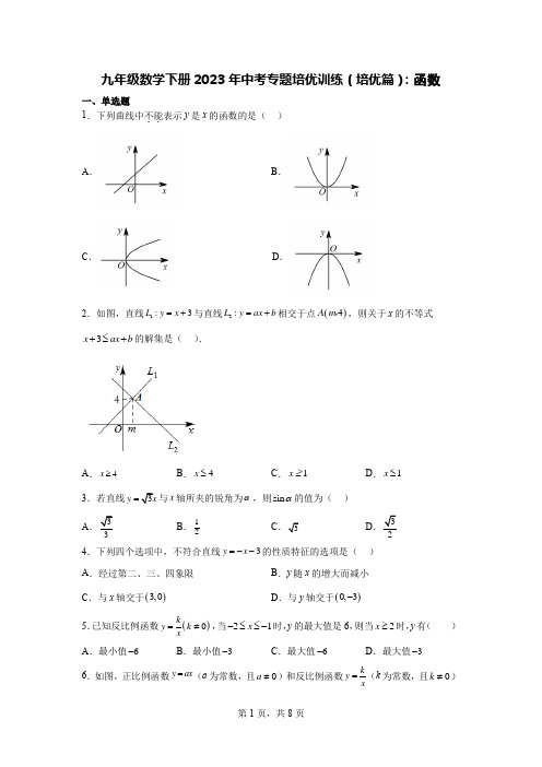 九年级数学下册2023年中考专题培优训练(培优篇)：函数